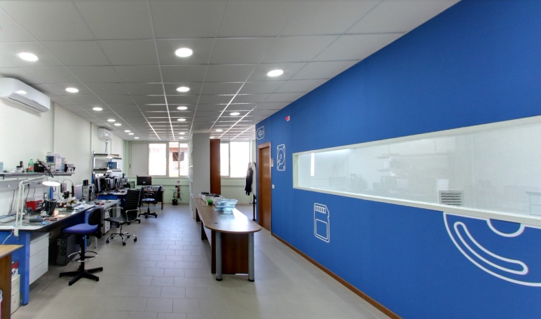 Your Biz recupero dati persi